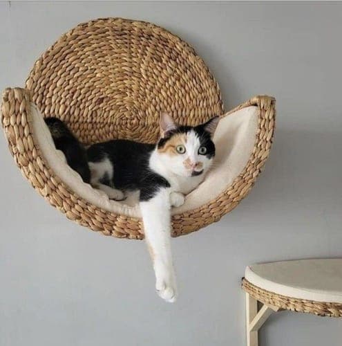 CozyCat – Wiszące Legowisko na Ścianę