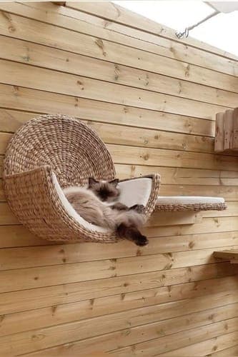 CozyCat – Wiszące Legowisko na Ścianę