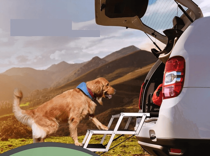 PupStep - Schodki dla Psa