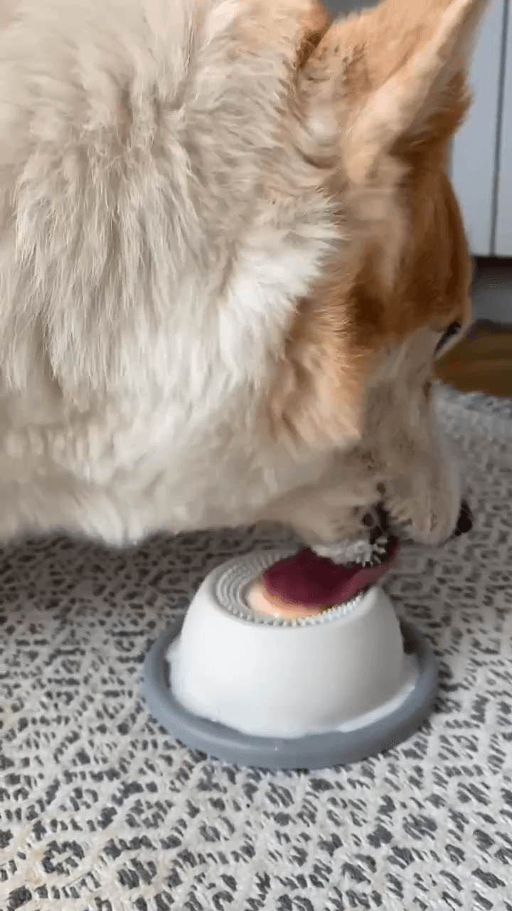 SlowBowl™ – Zdrowy Posiłek Bez Pośpiechu. Stop Wzdęciom i Skrętowi Żołądka